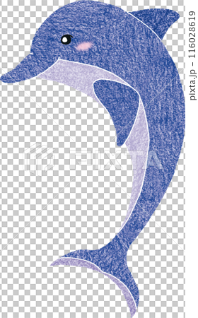 かわいいイルカの手描き風イラスト 116028619