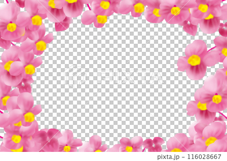 Begonia flower card 6 116028667