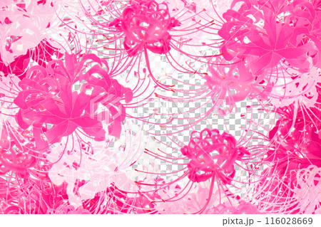 Licorice flower card 1 116028669