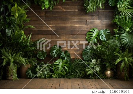 Forming a natural and enchanting ambiance with sprawling Monstera foliage on a wooden wall 116029162