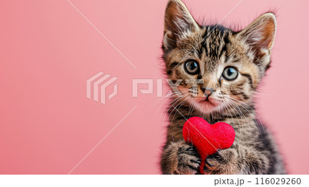 Cute tabby kitten holding a red heart on a pink background with copy space for text. Valentine's Day celebration concept. Cute tabby kitten holding a red heart on a pink background with copy space for text. Valentine's Day celebration concept. 116029260