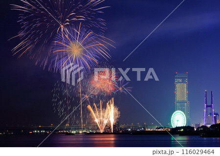大阪湾りんくう芸術花火（大阪府泉南市） 116029464