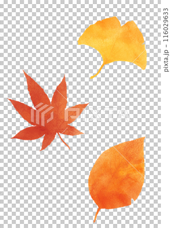 秋天的樹葉畫水彩的插圖 秋天的樹葉畫水彩的插圖 116029633
