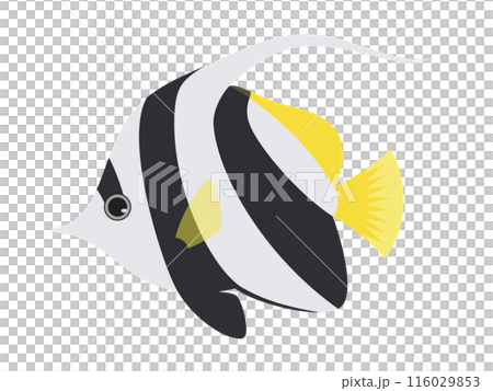 石斑魚的插圖 116029853