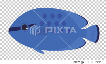 Illustration of blue damselfish 116029940