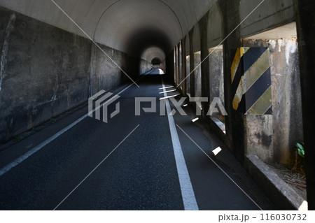 初夏の笹川流れ 116030732