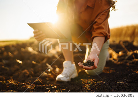 Female hands touching soil on the field. Agriculture, gardening or ecology concept 116030805