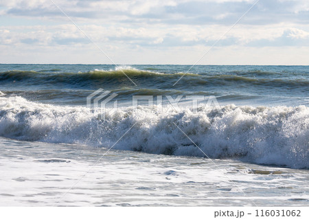 Stormy lwaves on the beach of Sochi, Russia, Black Sea 116031062