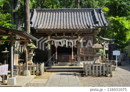 江古田浅間神社 拝殿 東京都練馬区小竹町 江古田浅間神社 拝殿 東京都練馬区小竹町 116031075
