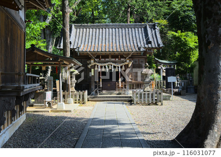 江古田浅間神社　拝殿　東京都練馬区小竹町 116031077