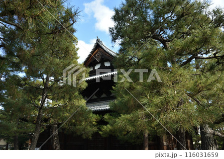 大本山大徳寺 法堂【重要文化財】 大本山大徳寺 法堂【重要文化財】 116031659