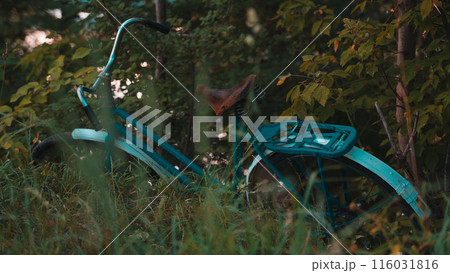 An old Soviet blue bicycle lies in the thick grass 116031816