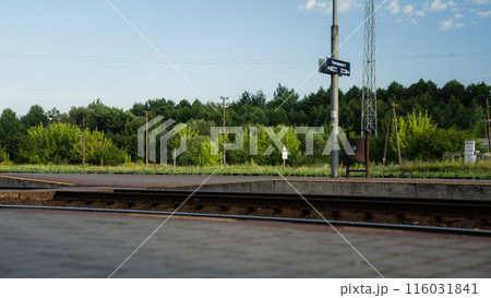 Train station, platform, a growing forest in the distance 116031841