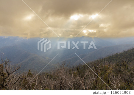 Photograph of the Snowy Mountains at sunrise in cloudy mist 116031908