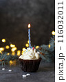 delicious cupcake with candle 116032011
