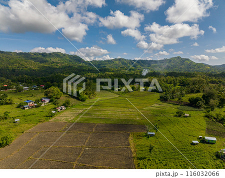 Farmland and mountains with green forest. Mindanao, Philippines. Farmland and mountains with green forest. Mindanao, Philippines. 116032066