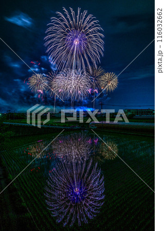 水田に映る京都芸術花火 リフレクションは絵画の様2 水田に映る京都芸術花火 リフレクションは絵画の様2 116032662