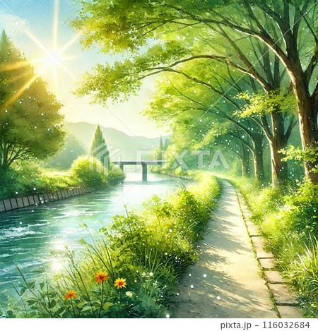 雨上がりの朝の光に照らされた遊歩道 116032684