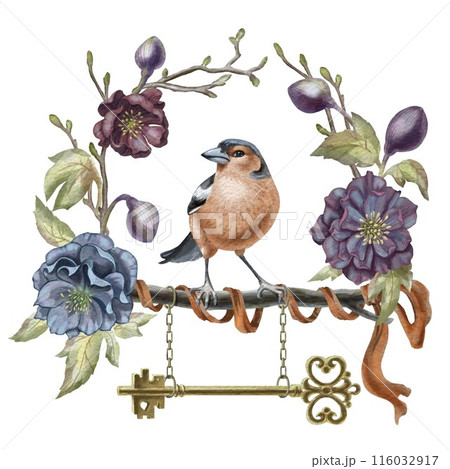 Watercolor illustration of finch sitting on branch among colorful hellebore buds.Ribbon and key hang from the branch.Can used for educational presentations,articles and websites about birds and nature 116032917