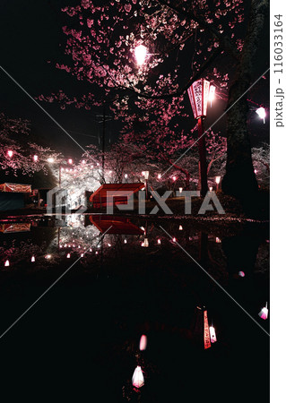 小見川城山公園の夜桜(雨の日) 小見川城山公園の夜桜(雨の日) 116033164