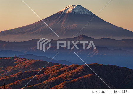 奥秩父・古礼山から見る朝焼けの富士山 奥秩父・古礼山から見る朝焼けの富士山 116033323