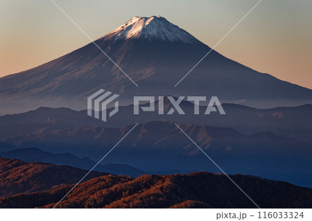 奥秩父・古礼山から見る朝焼けの富士山 奥秩父・古礼山から見る朝焼けの富士山 116033324