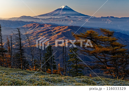 奥秩父主脈縦走路・古礼山から見る朝焼けの富士山 奥秩父主脈縦走路・古礼山から見る朝焼けの富士山 116033329