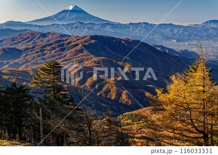 奥秩父縦走路・古礼山から見る朝の富士山 116033331