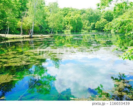 北海道の絶景 富良野 鳥沼公園 116033439