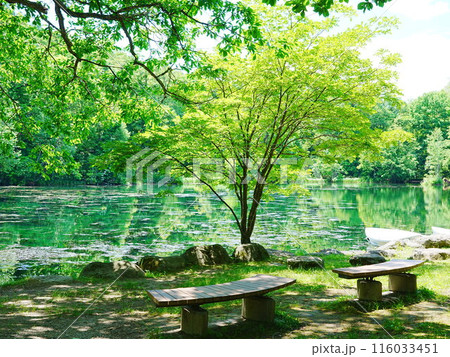 北海道の絶景 富良野 秘境 鳥沼公園 116033451