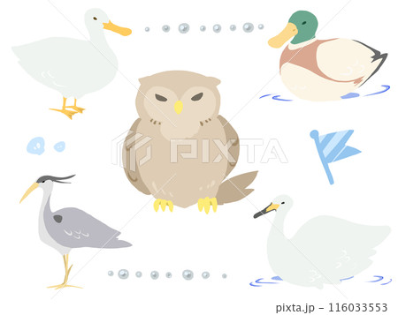 森と水辺の鳥たち 116033553
