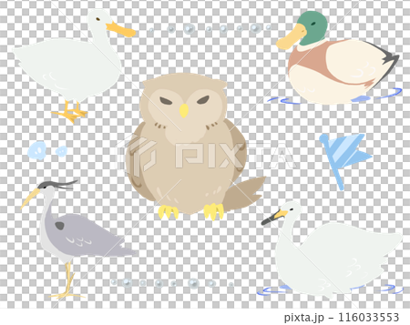 森と水辺の鳥たち 116033553