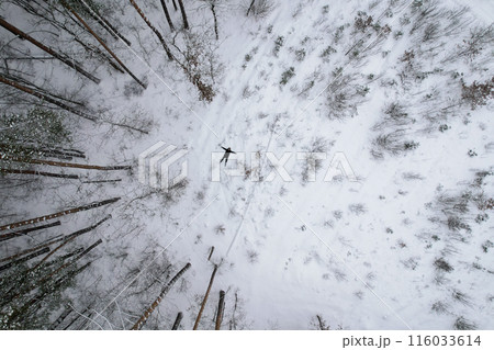 Man lying down making snow angel, top view. Outdoor activities and ecological tourism. Natural winter season background. Aerial view of pine spruce tree covered snow 116033614