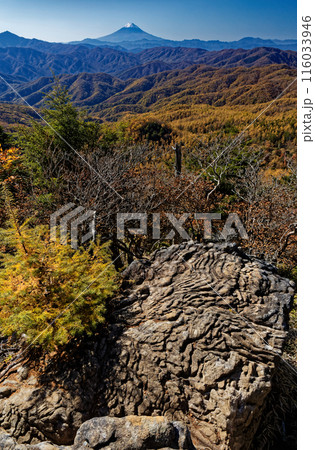 奥秩父・笠取山から見る紅葉の山並みと富士山 奥秩父・笠取山から見る紅葉の山並みと富士山 116033946