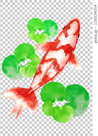 金魚和水草躲在水草裡休息的插圖 116034054