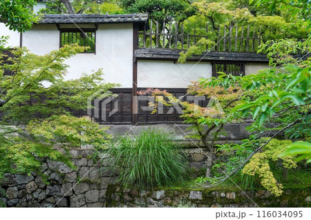 静寂に包まれた古い白壁とカラフルなモミジの若葉のコラボ情景 116034095