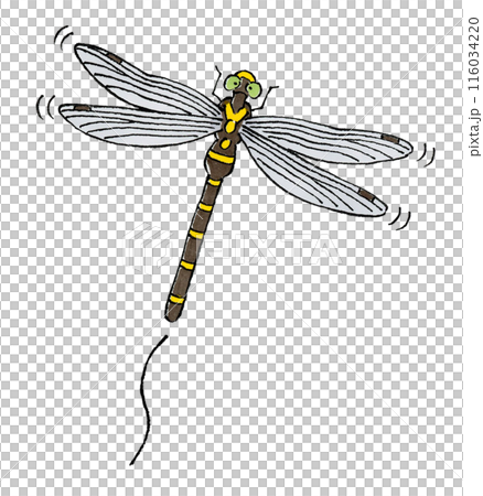 飛Onyangma 116034220