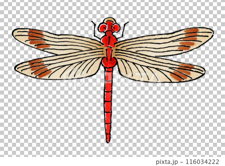 赤トンボ 116034222