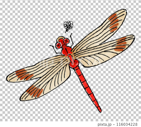 ボールペンアート「赤蜻蛉」イラスト原画 ボールペンアート「赤蜻蛉」イラスト原画の通販 by 篠尾旭月's shop
