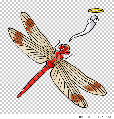 死んだ赤トンボのイラスト素材 [116034288] - PIXTA
