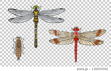 蜻蜓套裝(onyanma、紅蜻蜓、蜻蜓) 蜻蜓套裝(onyanma、紅蜻蜓、蜻蜓) 116034302