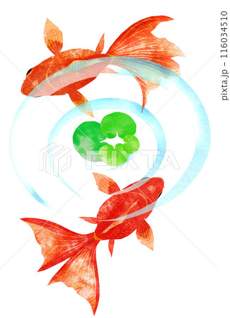 水草を回りながら優雅に泳ぐ金魚イラストのイラスト素材 [116034510