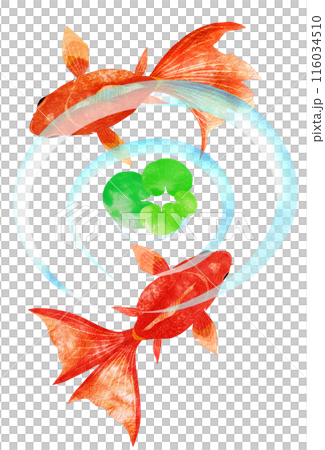 Illustration of a goldfish swimming gracefully around water plants 116034510