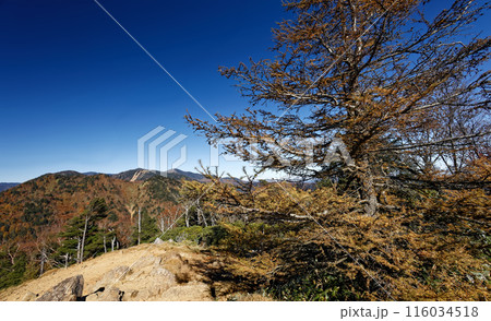 笠取山山頂から奥秩父主脈の眺め 笠取山山頂から奥秩父主脈の眺め 116034518