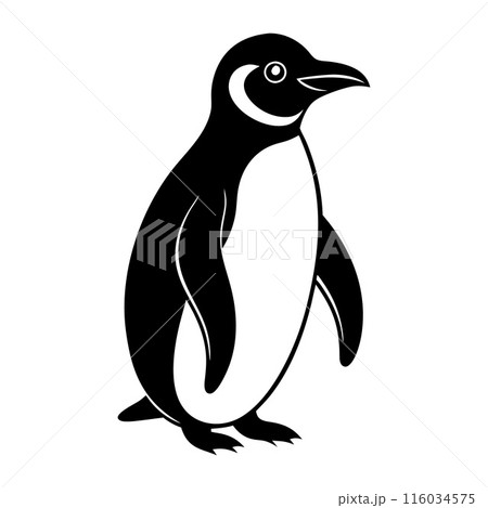 A penguin is standing on a white background A penguin is standing on a white background 116034575