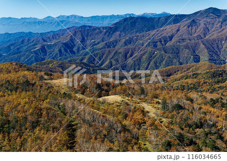 奥秩父・笠取山から見る紅葉の雁峠と黒金山・南アルプスの山並み 奥秩父・笠取山から見る紅葉の雁峠と黒金山・南アルプスの山並み 116034665