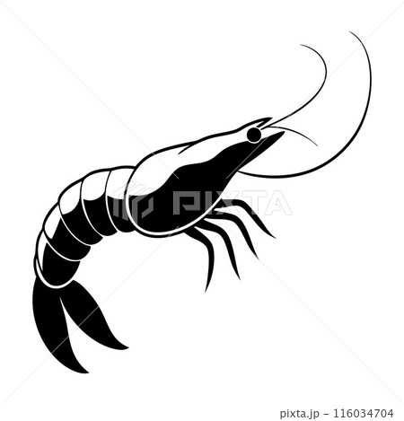 A black and white drawing of a shrimp 116034704