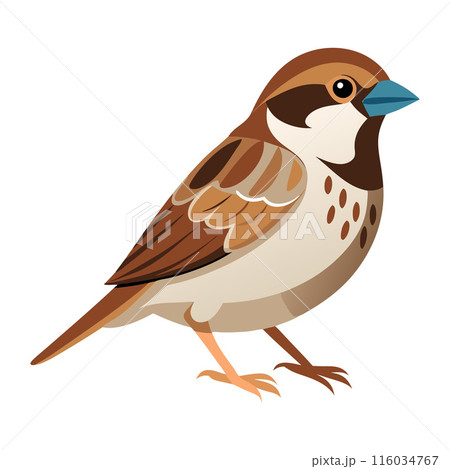 A brown and white bird with a blue beak A brown and white bird with a blue beak 116034767