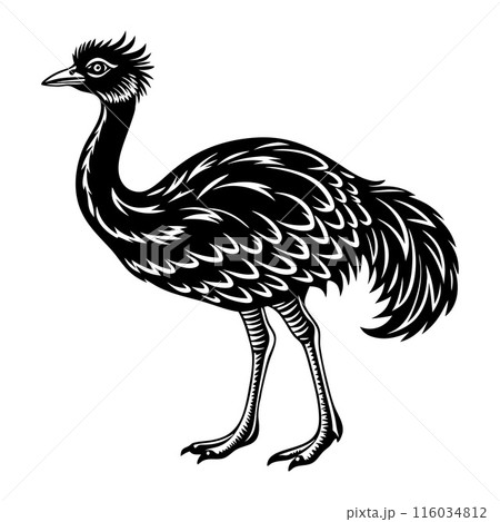 A black ostrich with a long neck and a large head 116034812