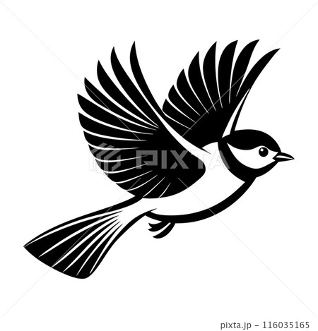 A black and white bird flying in the air A black and white bird flying in the air 116035165